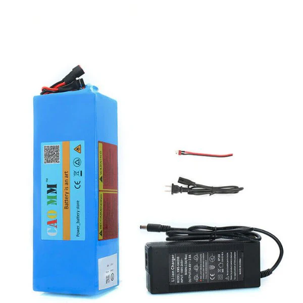 48V Ebike Battery with Charger