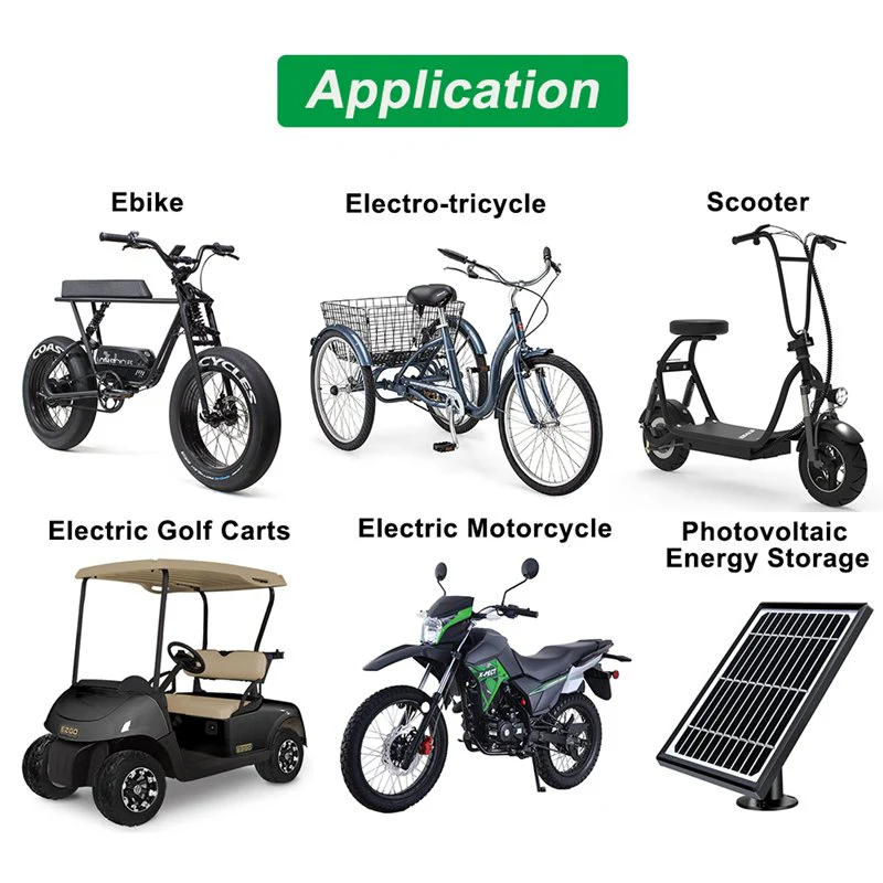 48V Ebike Battery with Charger - Image 3