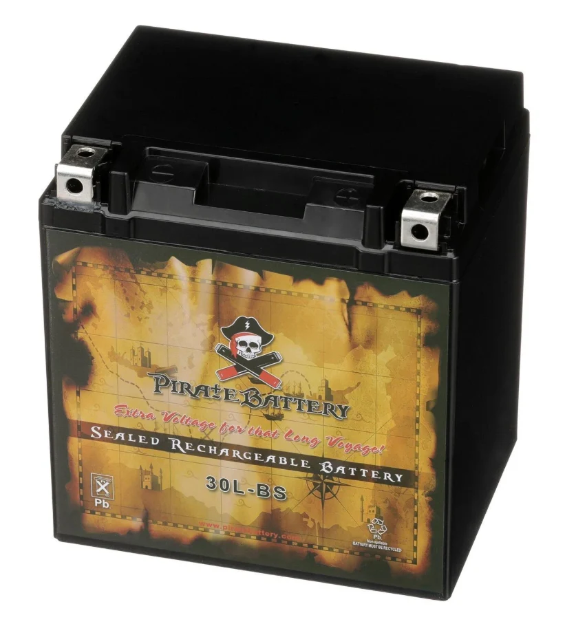 YTX30L-MotorSport- Maintenance Free - Sealed AGM Motorcycle Battery